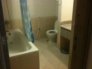 Thank Allah it's not a squatter toilet. 