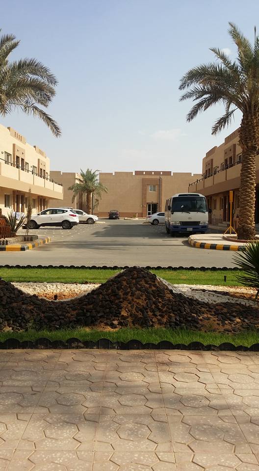 11960265_10153567727999486_8936988982467396240_n