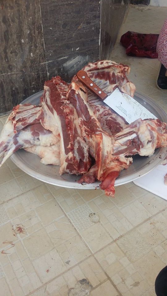 12041702_10153635965579486_261436497_n