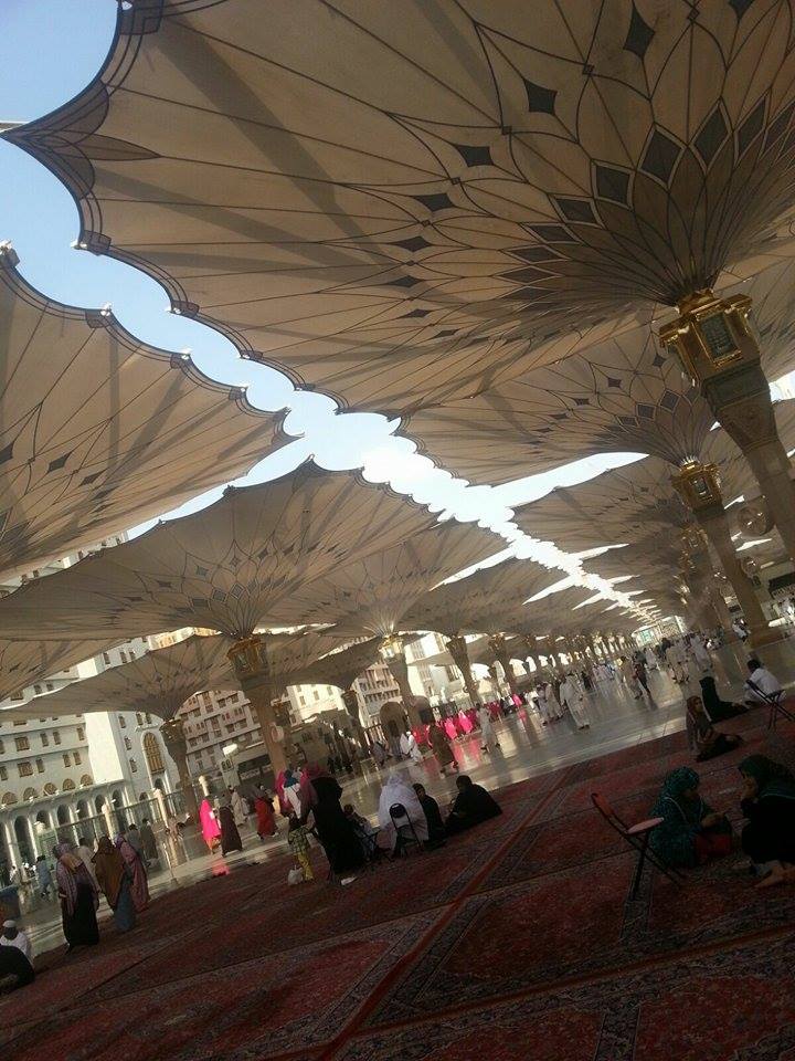 12041919_10153630500269486_705038735_n