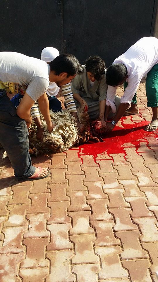 I told you it was gory.