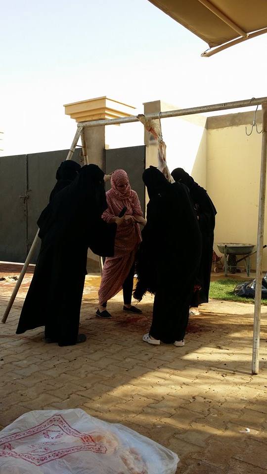 12048749_10153635977464486_221425513_n