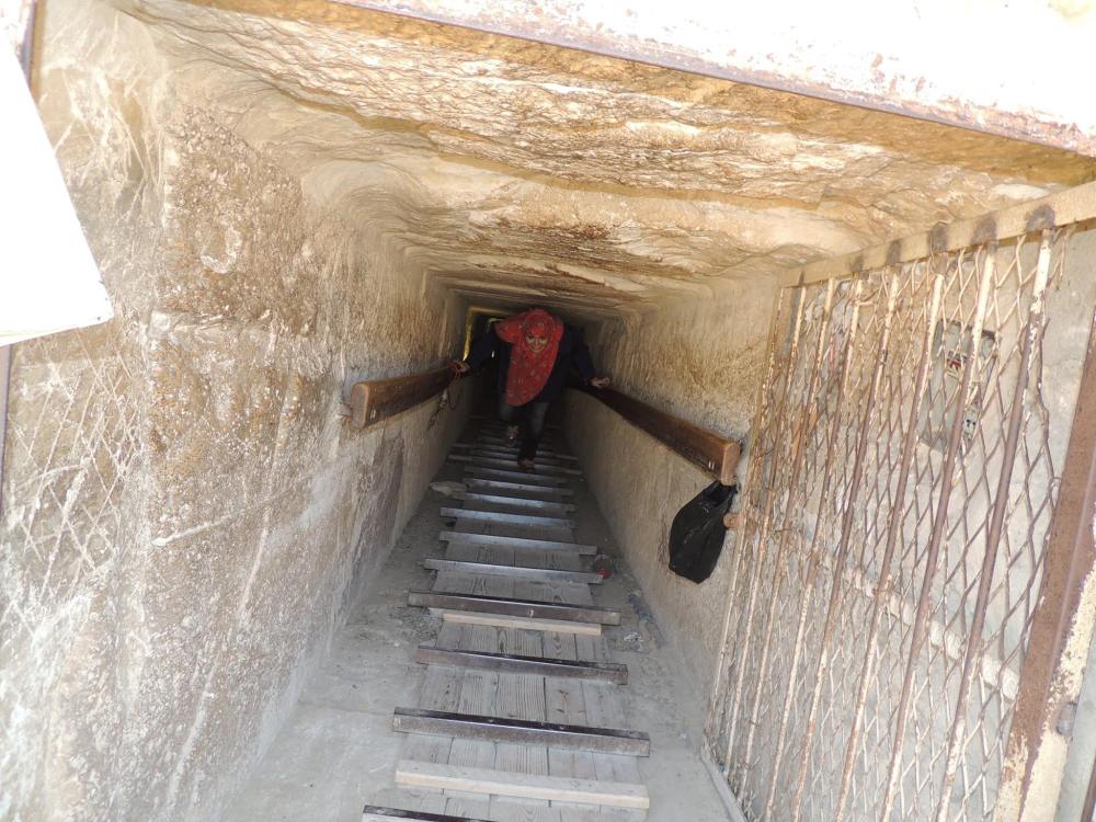 12491869_10153852351364486_8917354067798909016_o