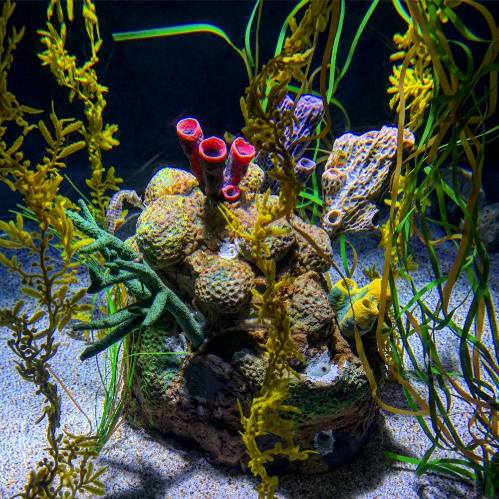 ccac23a3-5f46-4362-8e3d-9209d39ce5a4