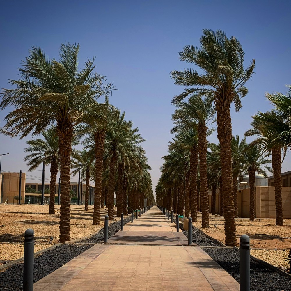 2d7140a5-c881-418b-b4c1-50b8314e641c